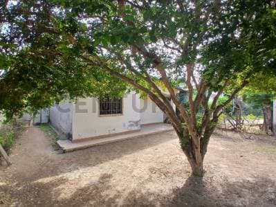 CASA ECONOMICA EN LA ISLA DE MARGARITA, LOS MILLANES, JUAN GRIEGO - view 2